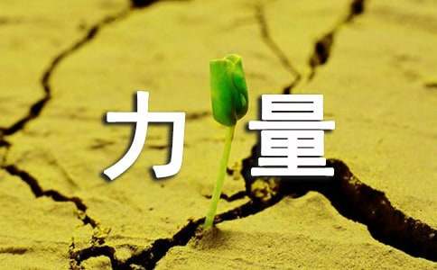 文化的力量優秀作文800字（通用17篇）