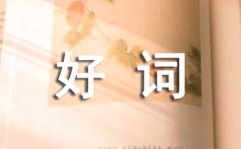 關于好詞好句的摘抄110句
