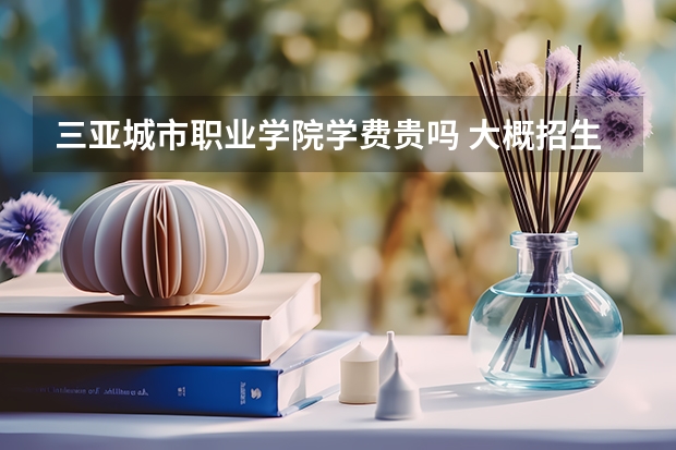 三亞城市職業學院學費貴嗎 大概招生多少人
