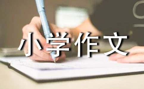 我的壓歲錢(qián)小學(xué)作文（精選35篇）