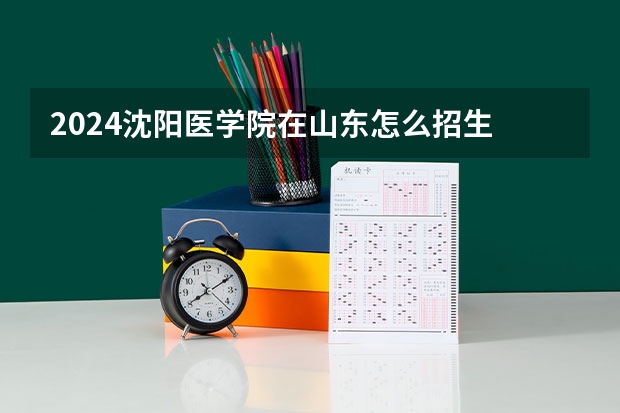 2024沈陽醫學院在山東怎么招生