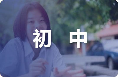 初中數學學生論文