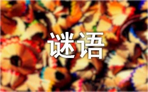 關(guān)于動物的謎語及答案210個