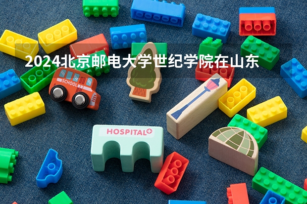 2024北京郵電大學(xué)世紀(jì)學(xué)院在山東怎么招生
