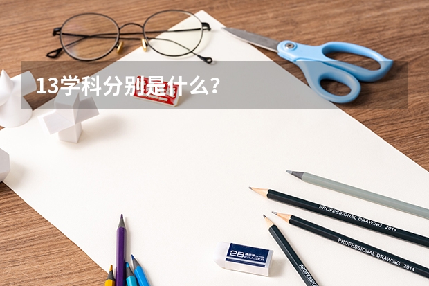13學科分別是什么？
