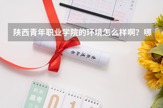 陜西青年職業(yè)學院的環(huán)境怎么樣啊？哪個專業(yè)比較好點？？