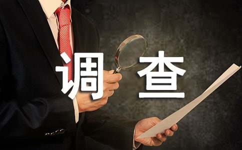 中國年調查報告（實用10篇）