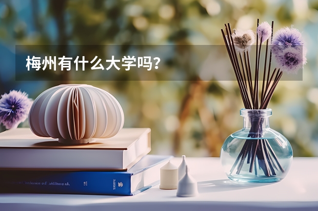 梅州有什么大學嗎？