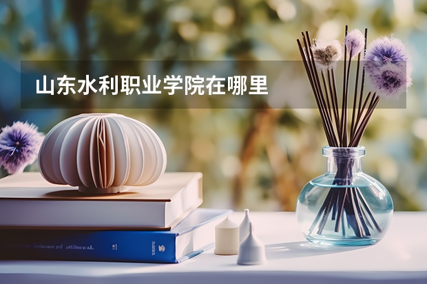 山東水利職業學院在哪里