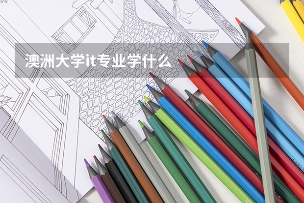 澳洲大學it專業(yè)學什么
