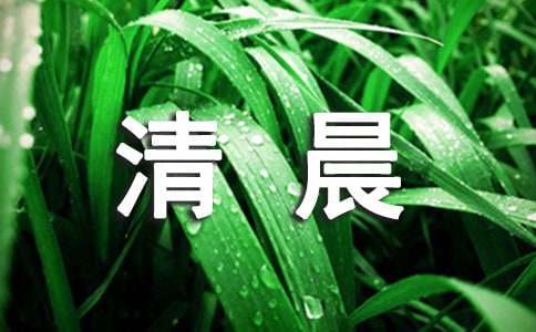 關于清晨作文600字（精選28篇）