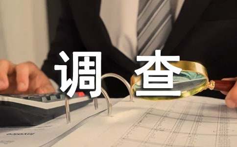 [實用]鄉(xiāng)村振興調(diào)查報告