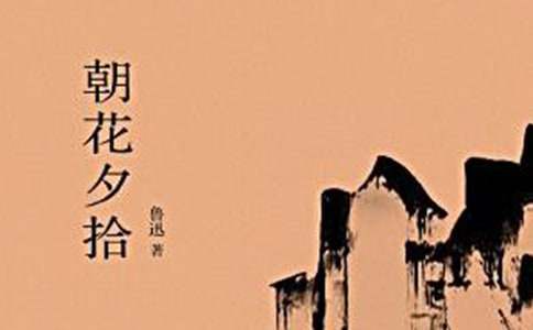六年級(jí)《朝花夕拾》讀后感