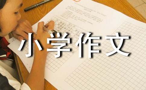【精華】小學作文400字28篇