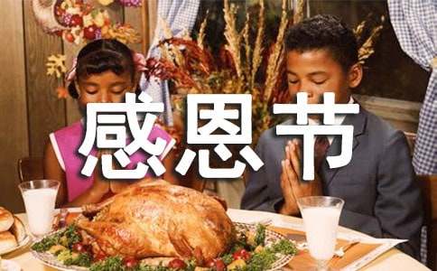 2024年最新關(guān)于感恩節(jié)的英語作文17篇