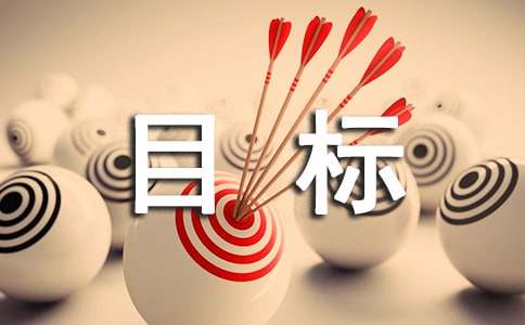 工作計(jì)劃及目標(biāo)