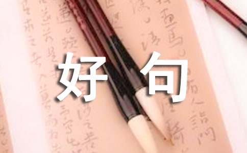 關(guān)于人生價(jià)值觀(guān)好句（精選230句）
