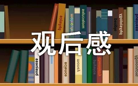 神舟十九號(hào)發(fā)射優(yōu)秀觀(guān)后感（精選17篇）