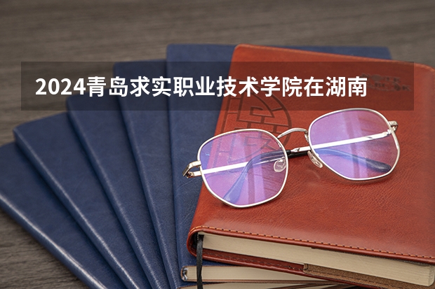 2024青島求實職業(yè)技術(shù)學院在湖南怎么招生的