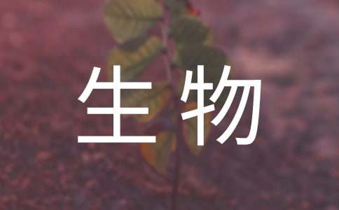 大學(xué)生物流專(zhuān)業(yè)實(shí)習(xí)報(bào)告