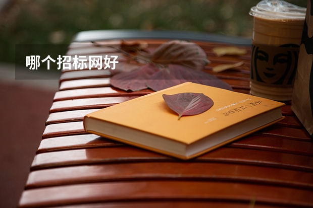 哪個招標網好