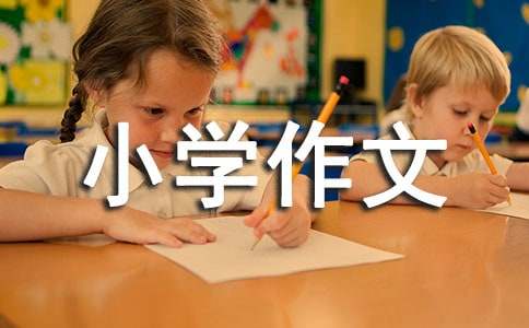 手拉手活動小學作文（通用21篇）