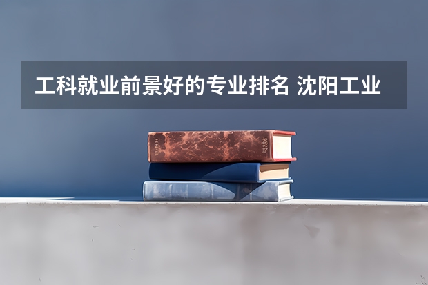 工科就業(yè)前景好的專業(yè)排名 沈陽工業(yè)大學(xué)文科專業(yè)排名？