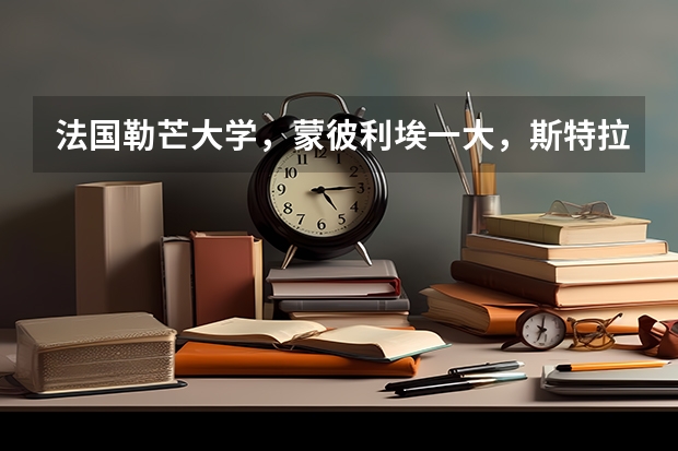 法國勒芒大學，蒙彼利埃一大，斯特拉斯堡大學，貝桑松大學的經(jīng)濟類專業(yè)如何？