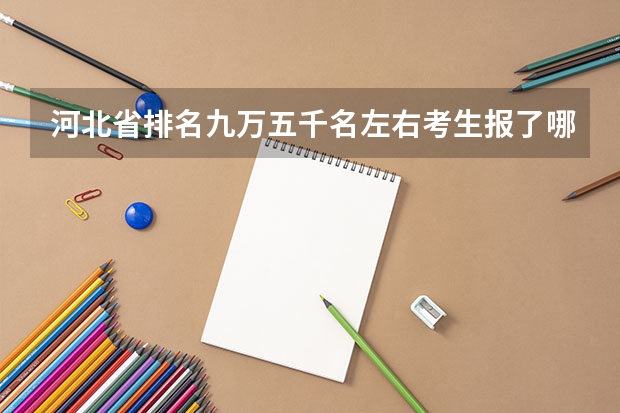 河北省排名九萬五千名左右考生報(bào)了哪些學(xué)校
