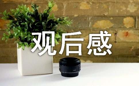 《冬奧來了》個人觀后感范文（精選17篇）