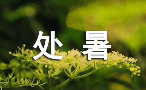 關(guān)于處暑的諺語