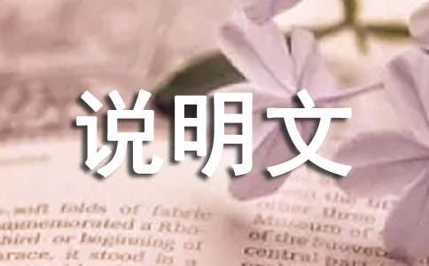 我喜歡的書五年級(jí)說明文（通用28篇）