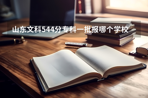 山東文科544分專科一批報哪個學校最有把握，把握大小先后順序是怎樣的，十萬火急