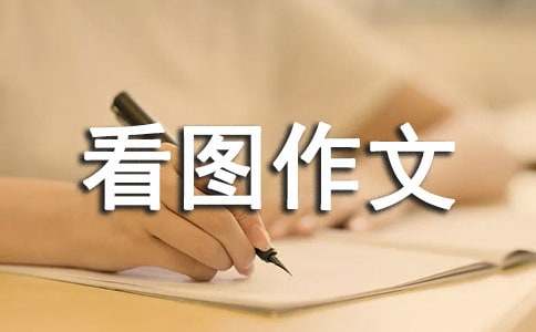 母之羽看圖作文范文優選