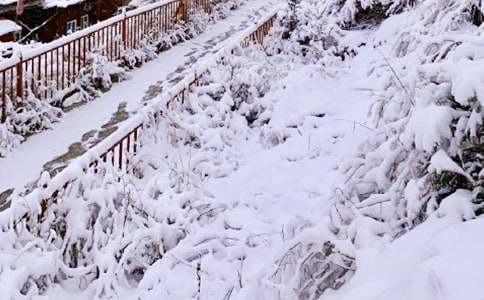 關(guān)于下雪的二年級作文