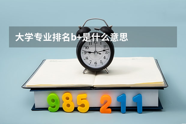 大學專業排名b+是什么意思