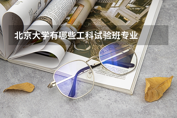 北京大學(xué)有哪些工科試驗(yàn)班專業(yè)
