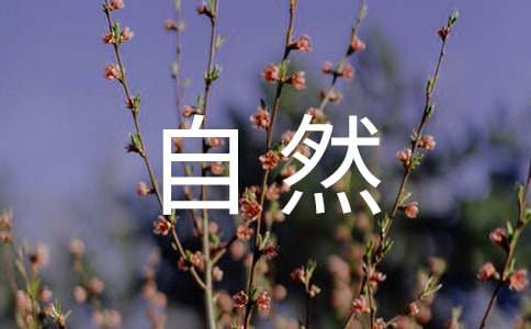 四年級大自然規(guī)律作文（精選4篇）