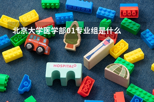北京大學醫學部01專業組是什么