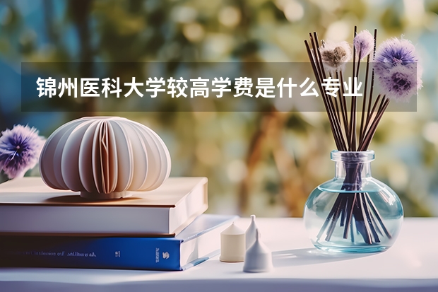 錦州醫(yī)科大學(xué)較高學(xué)費是什么專業(yè)