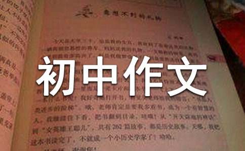 關于暢想初中作文300字合集10篇