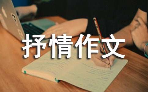 小學(xué)抒情作文