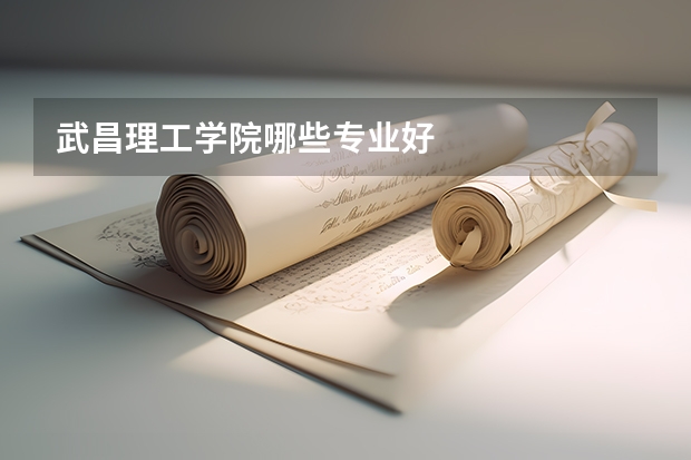 武昌理工學(xué)院哪些專業(yè)好