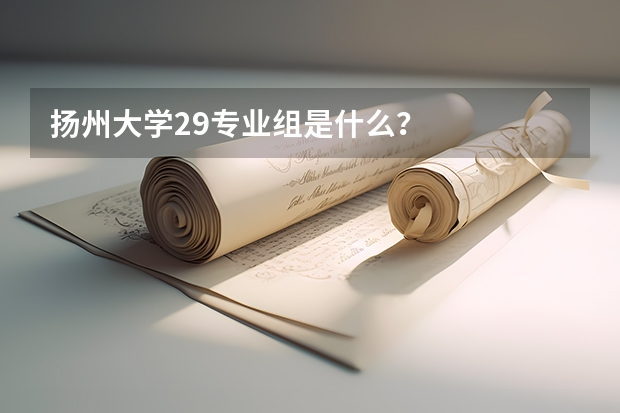 揚州大學29專業組是什么？
