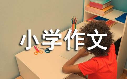 一個(gè)讓我敬佩的人小學(xué)作文7篇