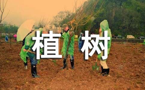 小學作文：看圖寫話――植樹