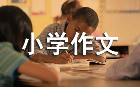 令我敬佩的人小學作文8篇
