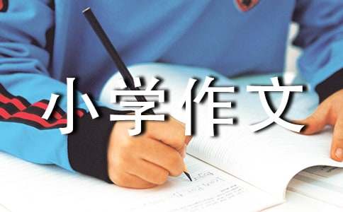 關于假文盲的小學作文