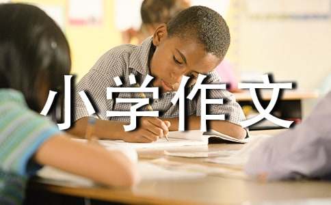 感受小學(xué)作文
