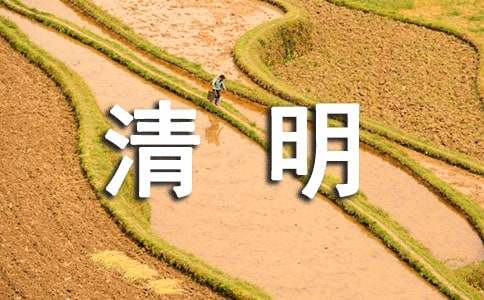 清明節對親人的哀思寄語